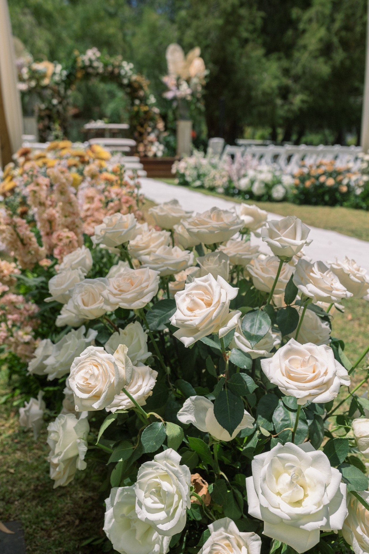 Borde de camino decorado con rosas blancas