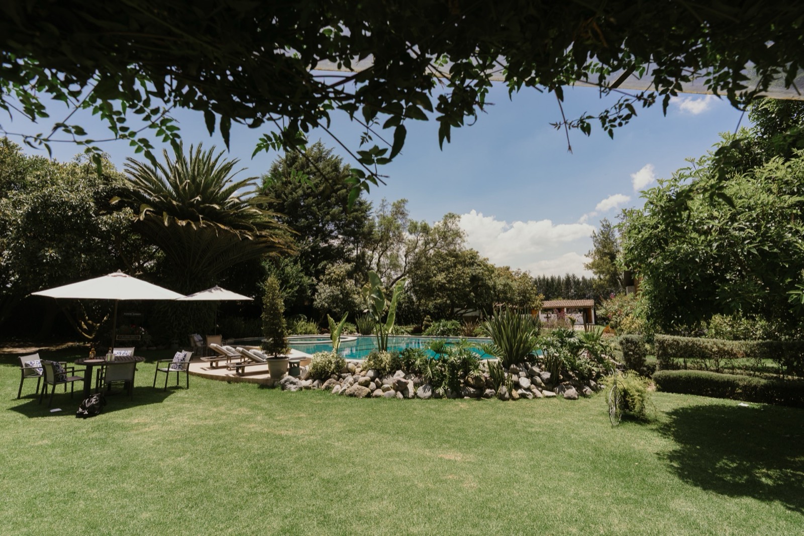 Piscina y áreas de descanso en Villa Pietra