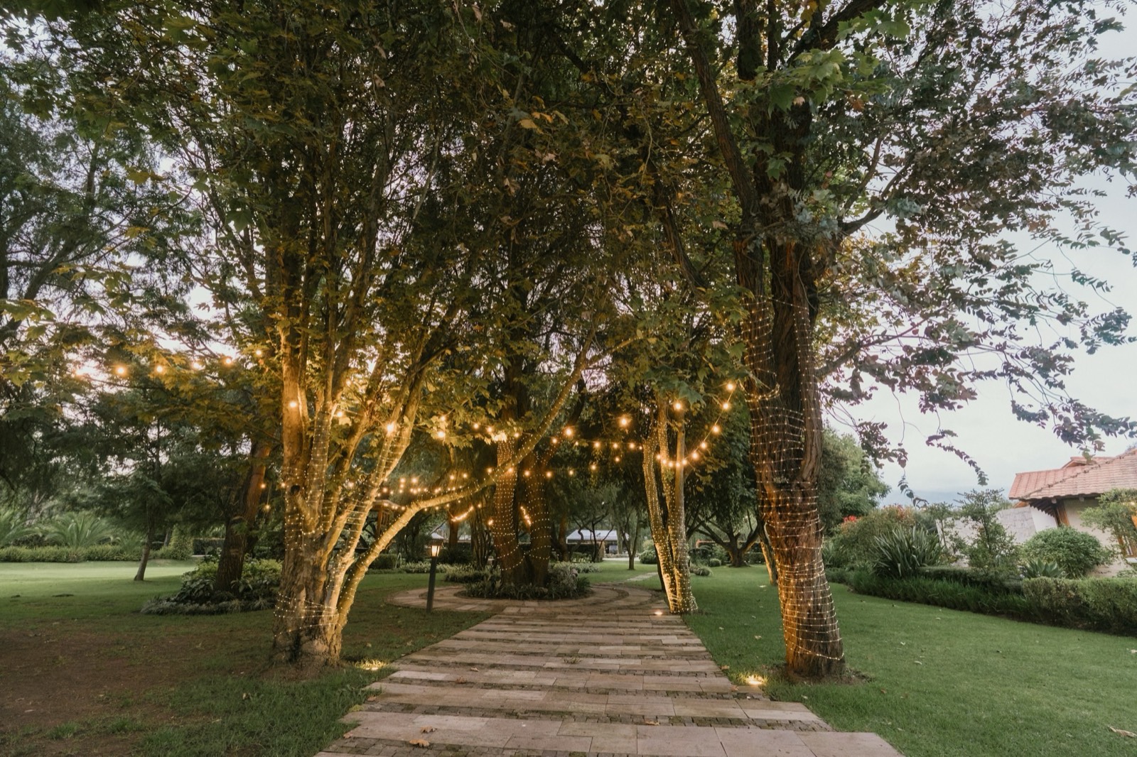 Sendero iluminado entre los árboles de Villa Pietra