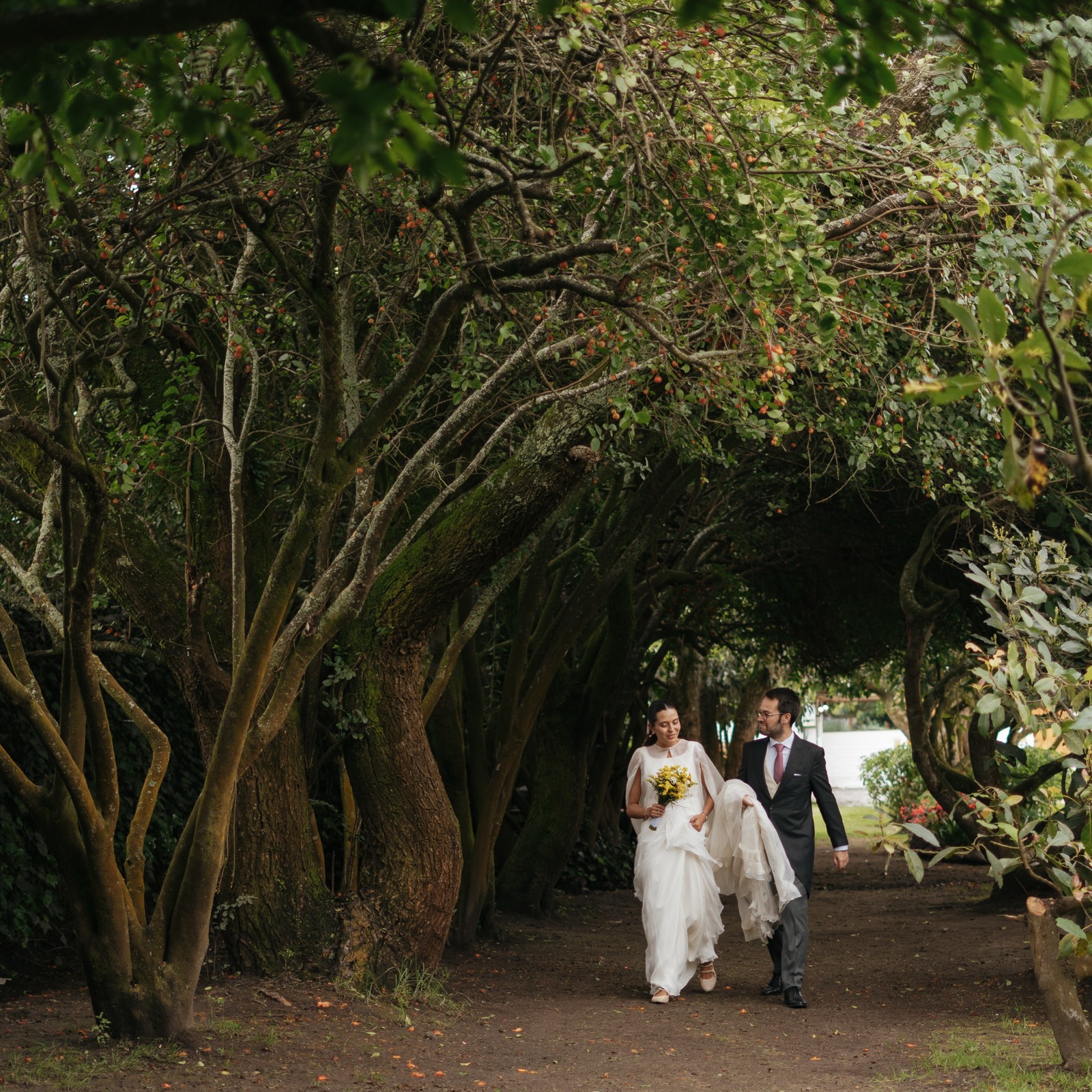 Novios caminando bajo un túnel de árboles