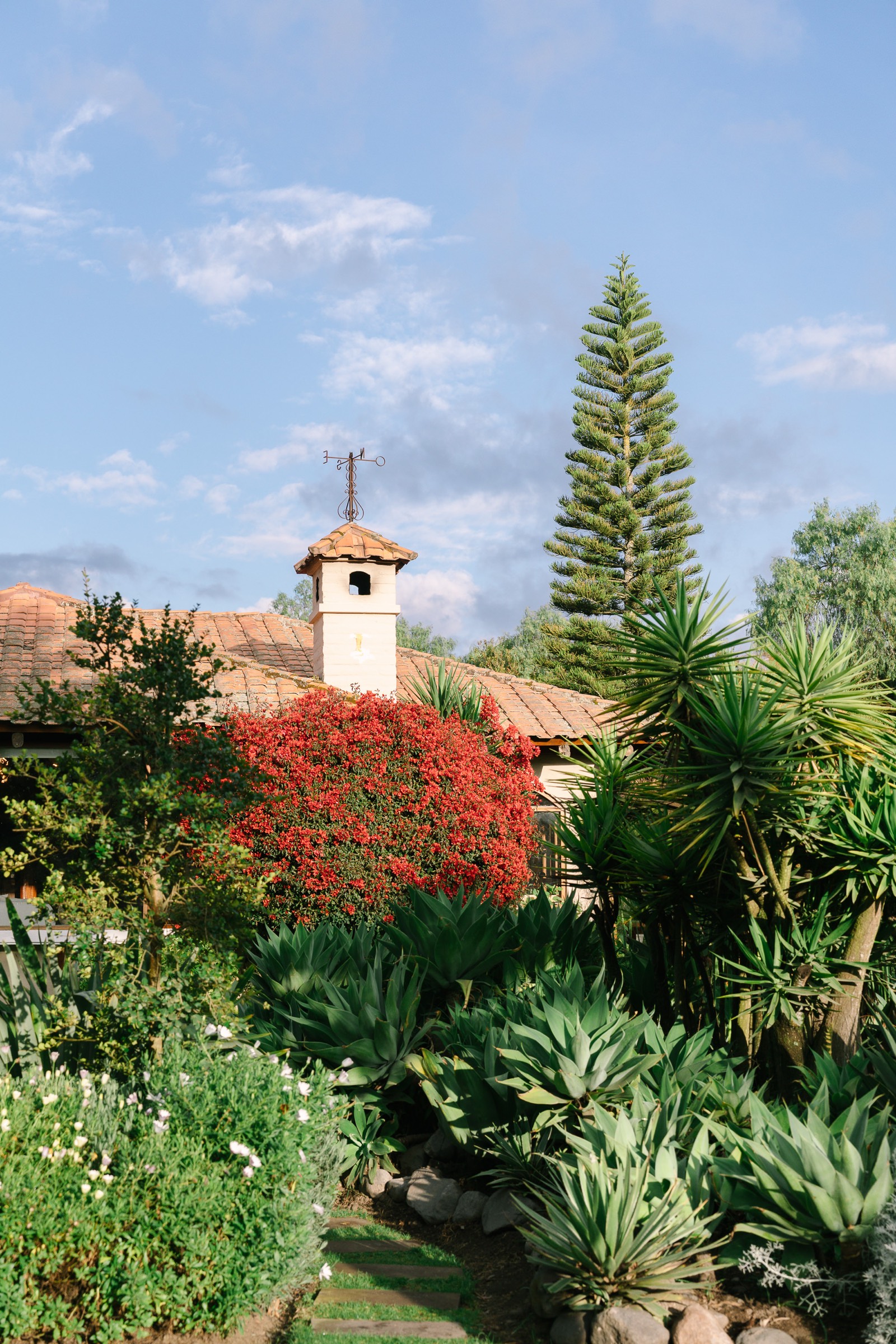 Jardín con buganvillas de Villa Pietra