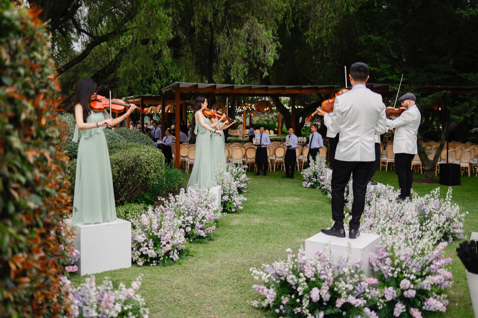 Cuarteto de cuerdas en la ceremonia