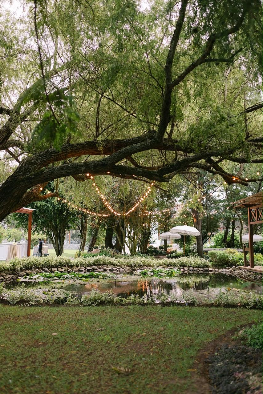 Estanque con luces cálidas entre los árboles del jardín