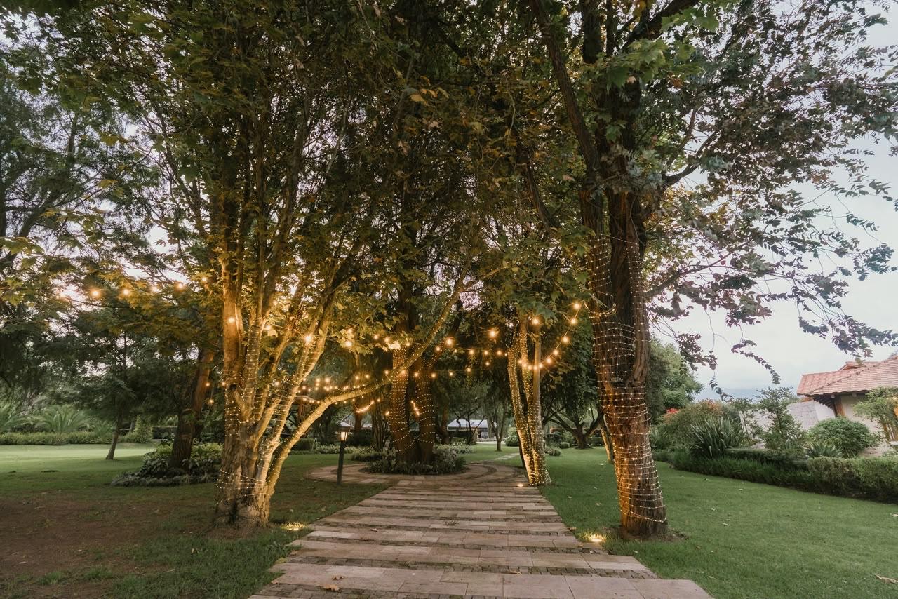 Sendero iluminado con luces cálidas entre los árboles