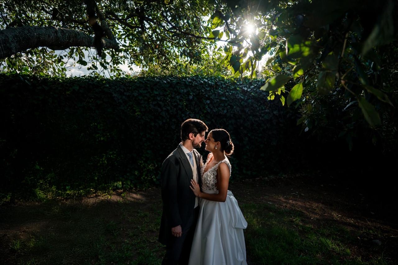 Beso de los novios con luz de atardecer entre los setos